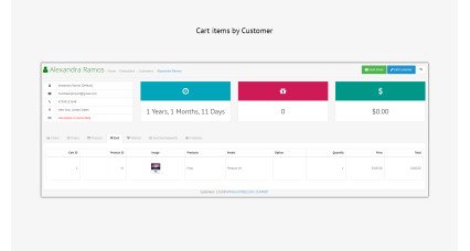 Customer Dashboard PRO